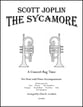 The Sycamore P.O.D. cover